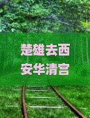 楚雄去西安华清宫个人游 楚雄去西安华清宫个人游