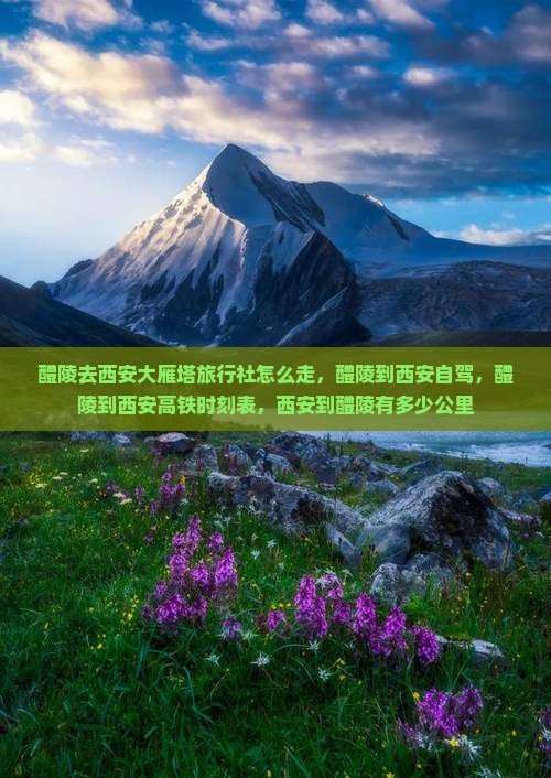 醴陵去西安大雁塔旅行社