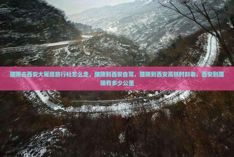 醴陵去西安大雁塔旅行社
