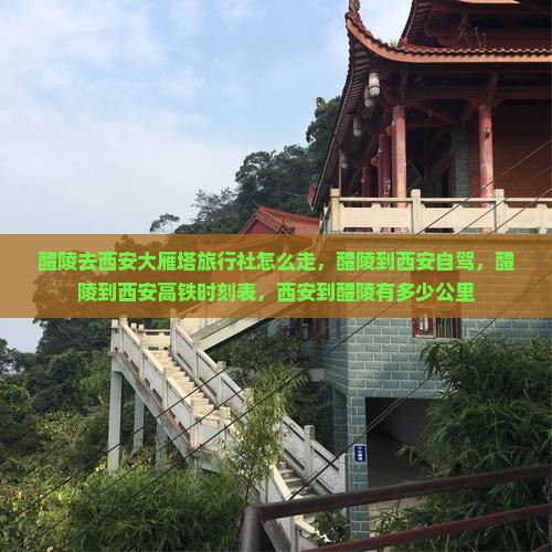 醴陵去西安大雁塔旅行社