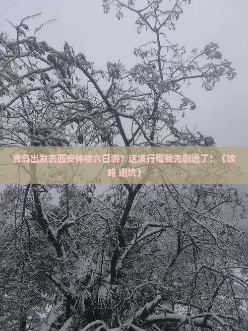 青岛去西安钟楼六日游