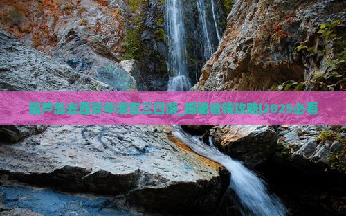 葫芦岛去西安华清宫三日游