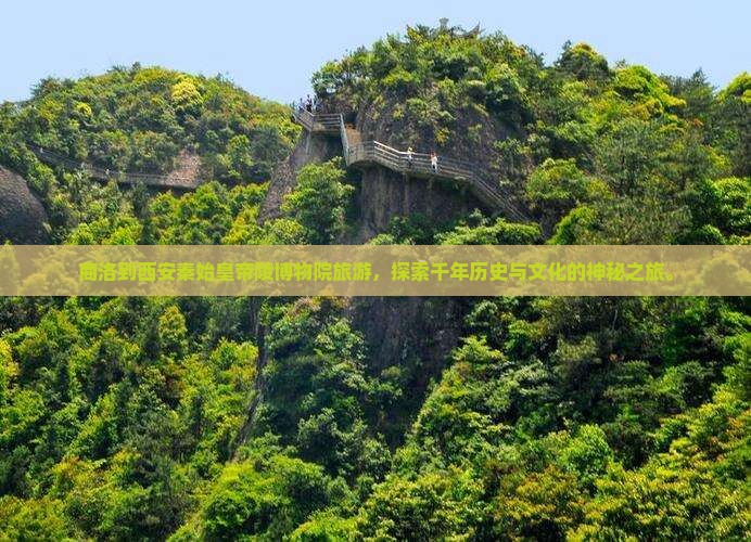 商洛到西安秦始皇帝陵博物院旅游