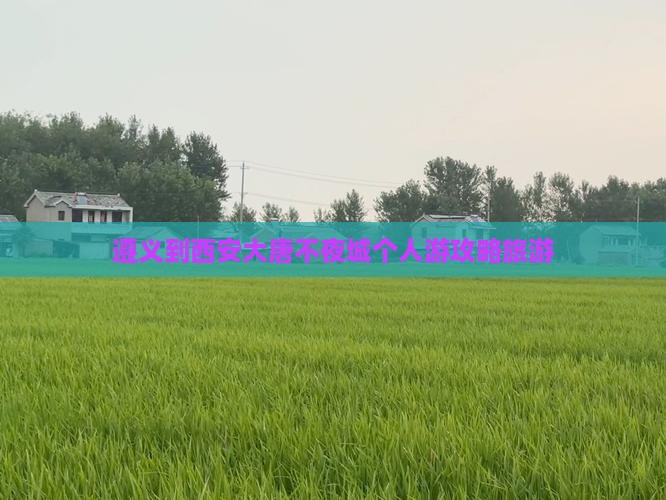 遵义到西安大唐不夜城个人游