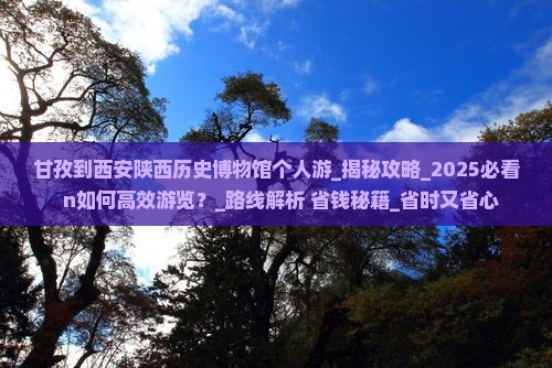 甘孜到西安陕西历史博物馆个人游