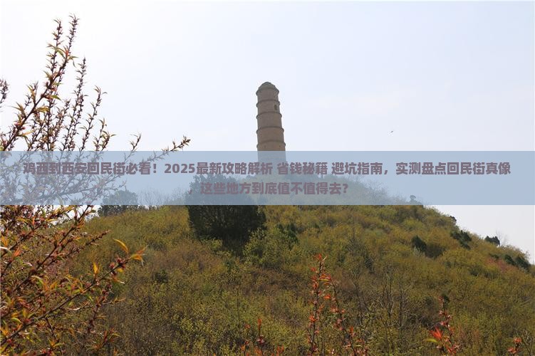 鸡西到西安回民街攻略