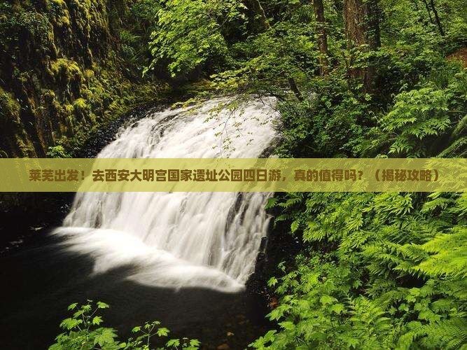 莱芜去西安大明宫国家遗址公园四日游