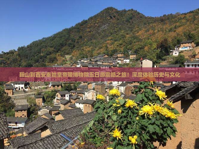鞍山到西安秦始皇帝陵博物院五日游