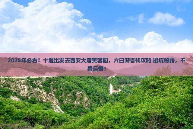 十堰去西安大唐芙蓉园六日游
