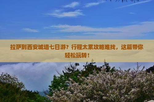 拉萨到西安城墙七日游