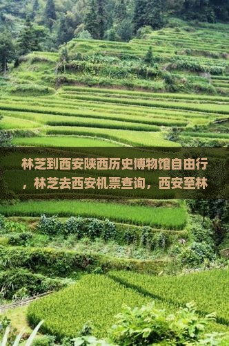 林芝到西安陕西历史博物馆自由行