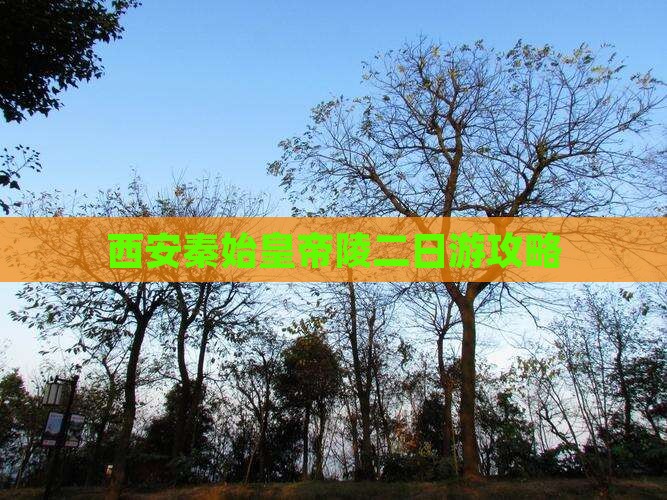 石河子到西安秦始皇帝陵博物院二日游