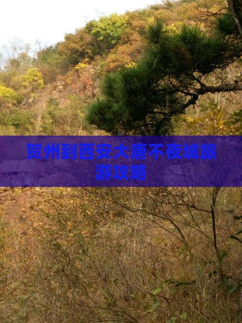 贺州到西安大唐不夜城二日游