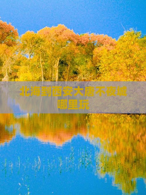 北海到西安大唐不夜城哪里玩