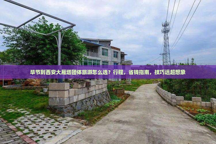 毕节到西安大雁塔团体旅游