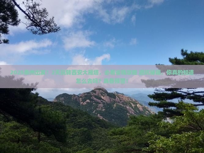 泰州到西安大雁塔二日游