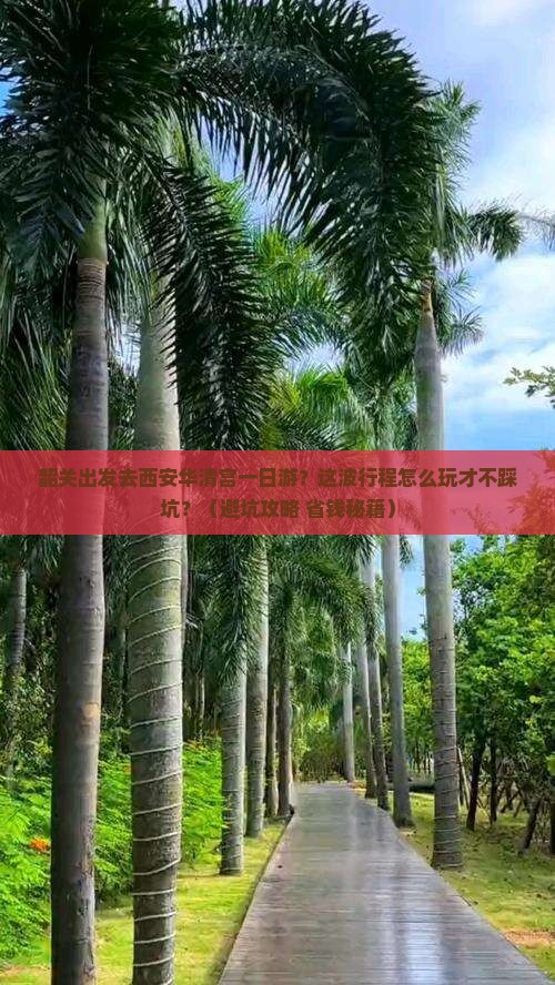 韶关去西安华清宫一日游