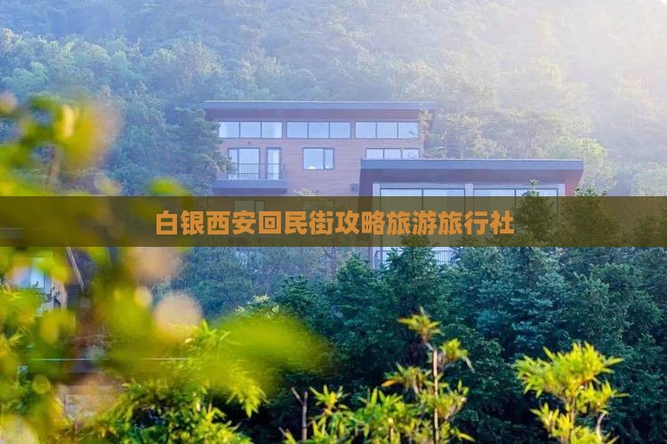 白银去西安回民街旅行社