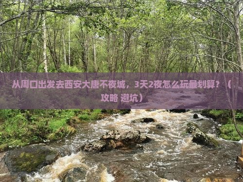 周口去西安大唐不夜城景点