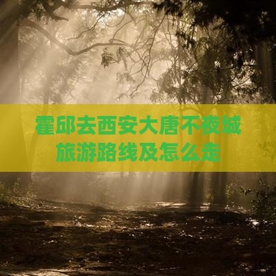 霍邱去西安大唐不夜城旅游