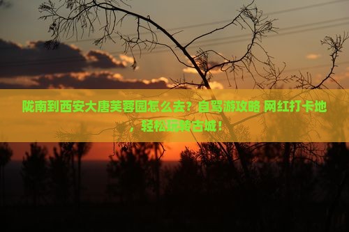 陇南到西安大唐芙蓉园个人游