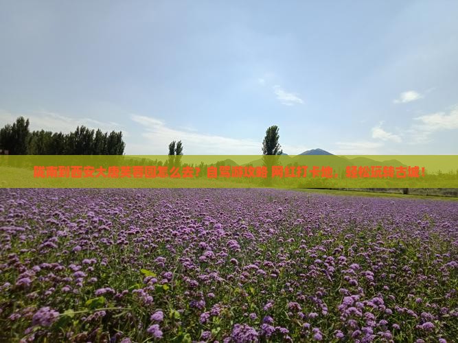 陇南到西安大唐芙蓉园个人游