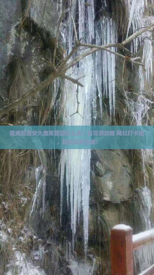 陇南到西安大唐芙蓉园个人游