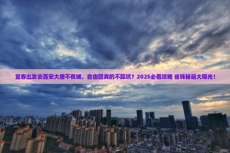 宜春到西安大唐不夜城自由团
