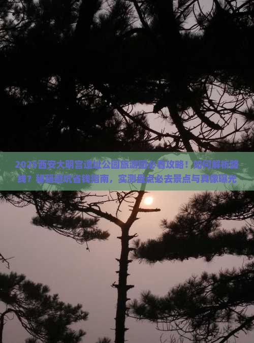 一月到西安大明宫国家遗址公园大型旅游团