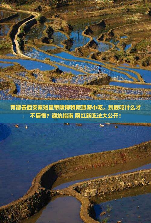常德去西安秦始皇帝陵博物院旅游小吃