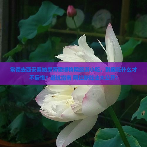 常德去西安秦始皇帝陵博物院旅游小吃