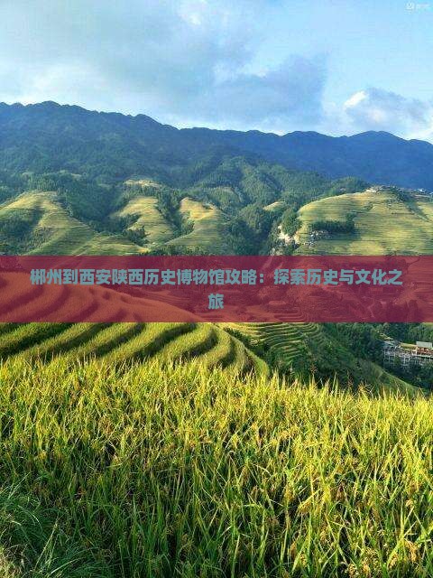 郴州到西安陕西历史博物馆门票