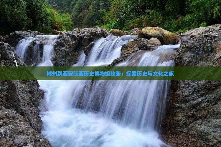 郴州到西安陕西历史博物馆门票