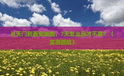 天门到西安城墙七日游 天门到西安城墙七日游