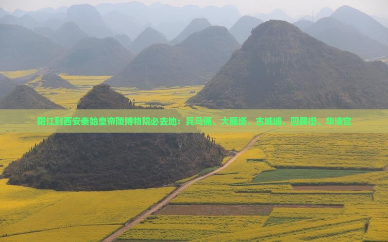 阳江到西安秦始皇帝陵博物院必去地