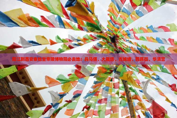 阳江到西安秦始皇帝陵博物院必去地