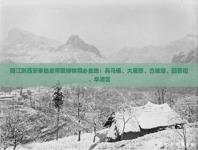 阳江到西安秦始皇帝陵博物院必去地