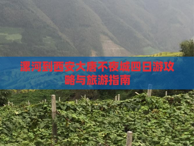 漯河到西安大唐不夜城四日游 漯河到西安大唐不夜城四日游