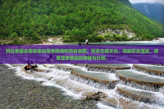 阿拉善盟去西安秦始皇帝陵博物院自由团