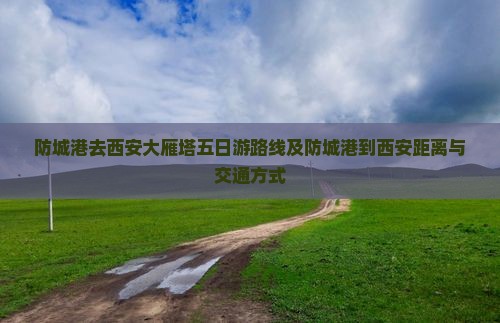 防城港去西安大雁塔五日游