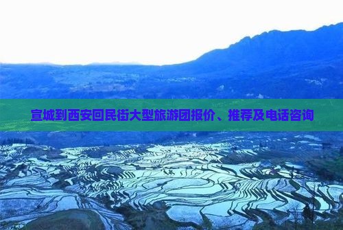 宣城到西安回民街大型旅游团报价、推荐及电话咨询