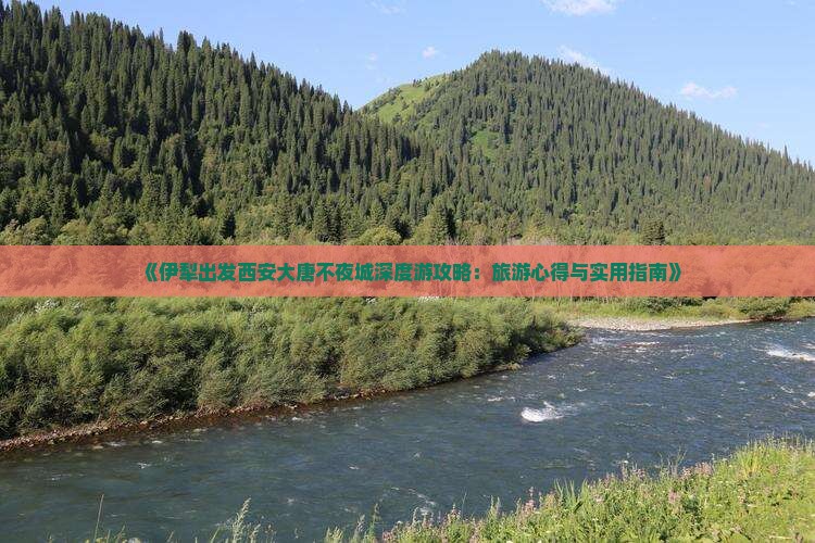 《伊犁出发西安大唐不夜城深度游攻略：旅游心得与实用指南》