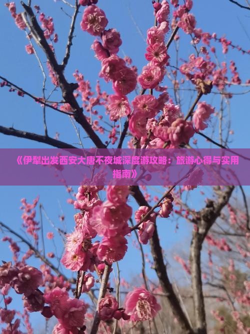 《伊犁出发西安大唐不夜城深度游攻略：旅游心得与实用指南》