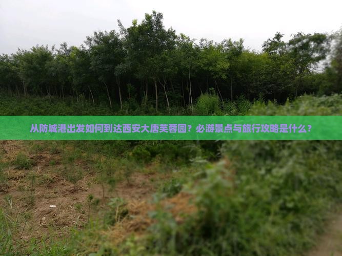 从防城港出发如何到达西安大唐芙蓉园？必游景点与旅行攻略是什么？