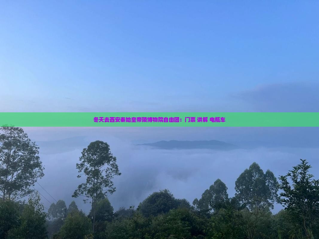冬天去西安秦始皇帝陵博物院自由团：门票+讲解+电瓶车