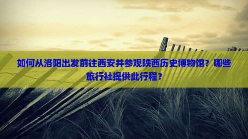 如何从洛阳出发前往西安并参观陕西历史博物馆？哪些旅行社提供此行程？