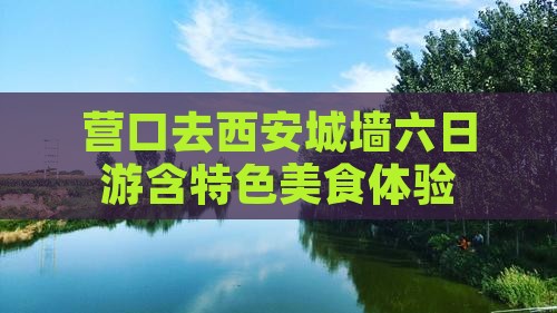 营口去西安城墙六日游含特色美食体验