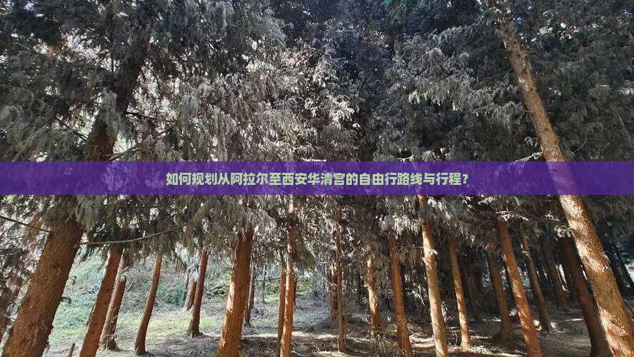 如何规划从阿拉尔至西安华清宫的自由行路线与行程？