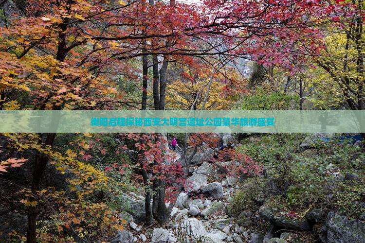 衡阳启程探秘西安大明宫遗址公园豪华旅游盛宴