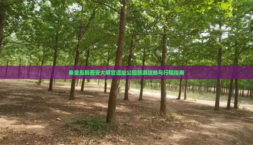 秦皇岛到西安大明宫遗址公园旅游攻略与行程指南 秦皇岛到西安大明宫遗址公园旅游攻略与行程指南